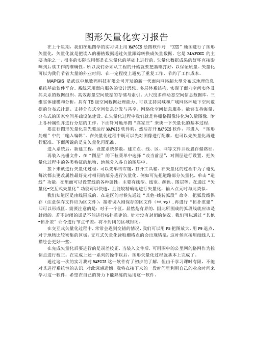 图形矢量化实习报告