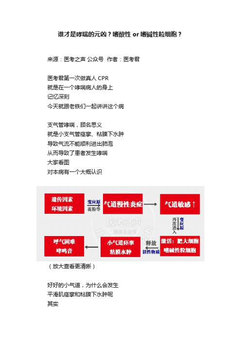 谁才是哮喘的元凶？嗜酸性or嗜碱性粒细胞？