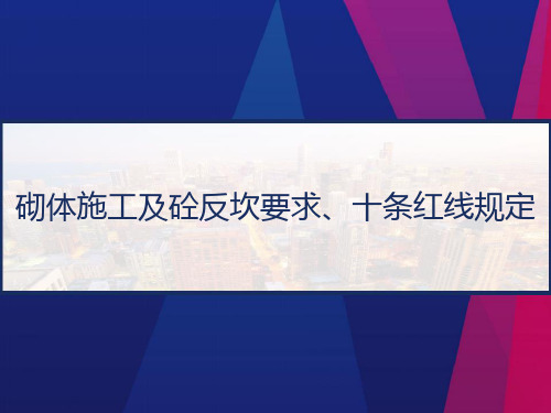 砌体施工及砼反坎要求、十条红线规定 PPT