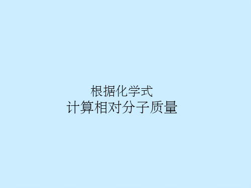 九年级化学上册5.3 根据化学式计算相对分子质量( 共13张PPT)