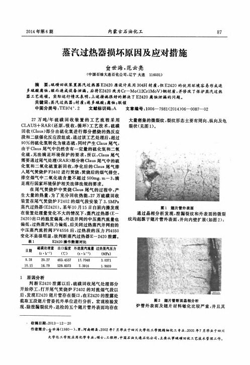 蒸汽过热器损坏原因及应对措施