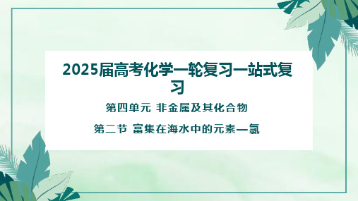 高三高考化学一轮复习课件 4.2 富集在海水中的元素—氯