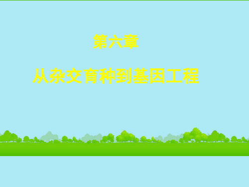 高考生物第一轮复习 杂交育种和诱变育种及基因工程课件 新人教版必修2