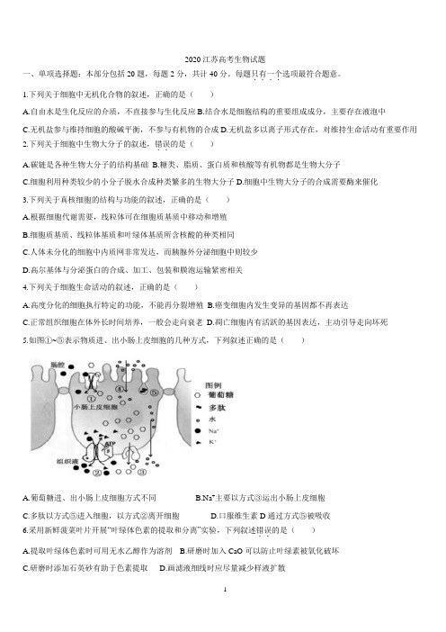 (精校版)2020年江苏卷生物高考试题文档版(含答案)