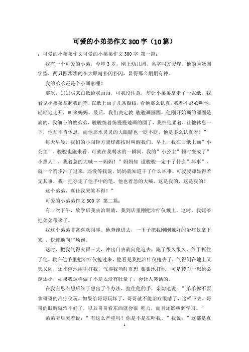 可爱的小弟弟作文300字(10篇)