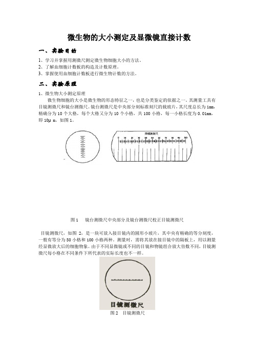 酵母菌计数t和大小测定