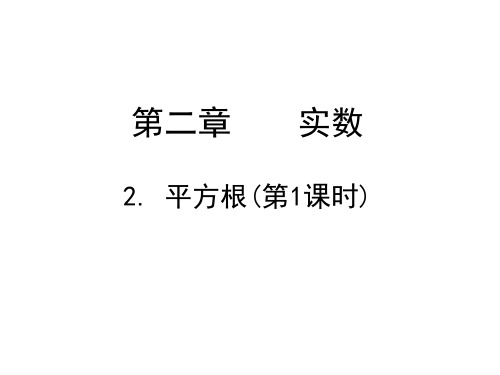 北师大课标版初中数学八年级上册 第二章 2.2 平方根 课件(共17张PPT)