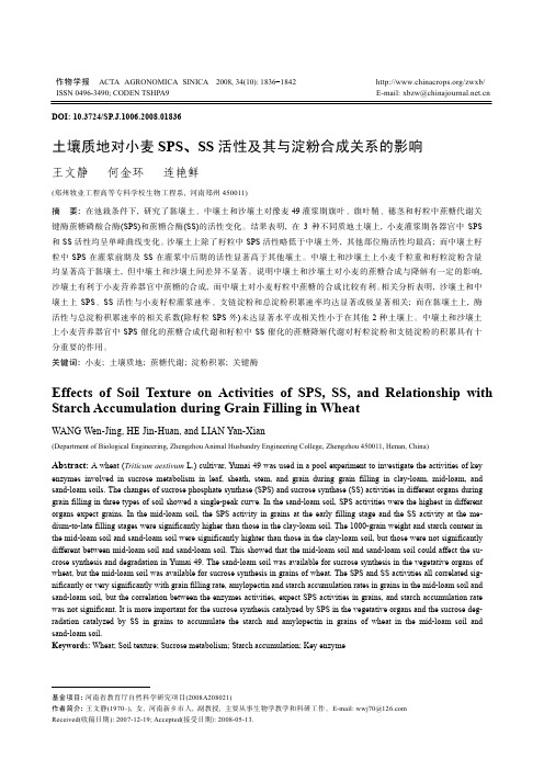 土壤质地对小麦SPS、SS活性及其与淀粉合成关系的影响