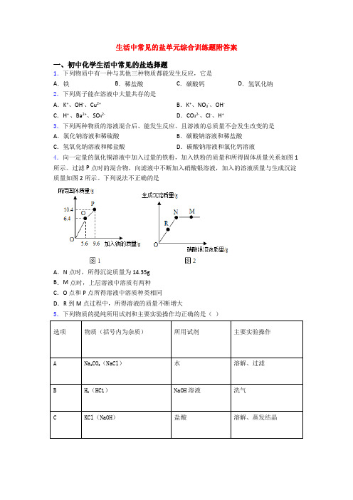 生活中常见的盐单元综合训练题附答案