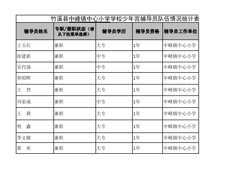 竹溪县少年宫辅导员基本情况统计表