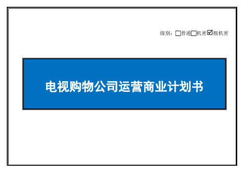 电视购物公司商业计划书