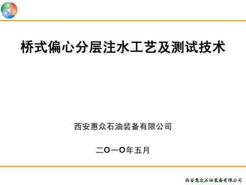 桥式偏心分层注水工艺及调测试技术资料