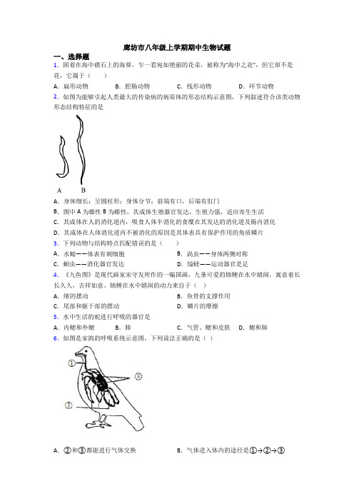 廊坊市八年级上学期期中生物试题