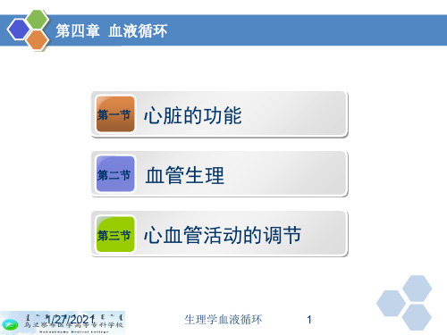 生理学血液循环培训课件