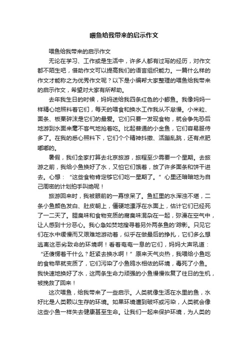 喂鱼给我带来的启示作文