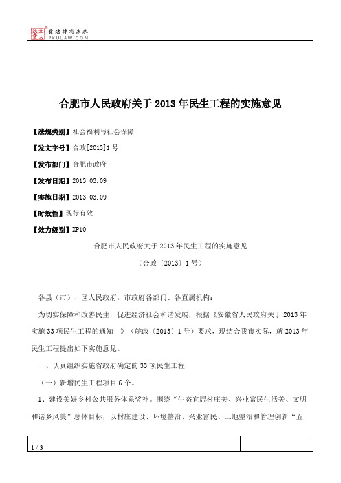 合肥市人民政府关于2013年民生工程的实施意见