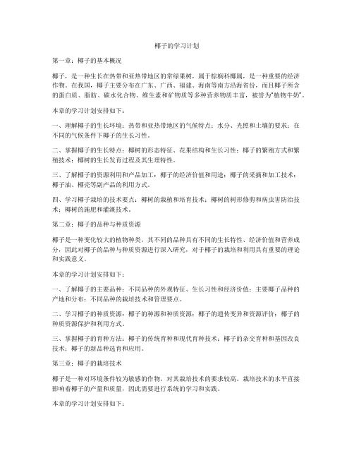 椰子的学习计划