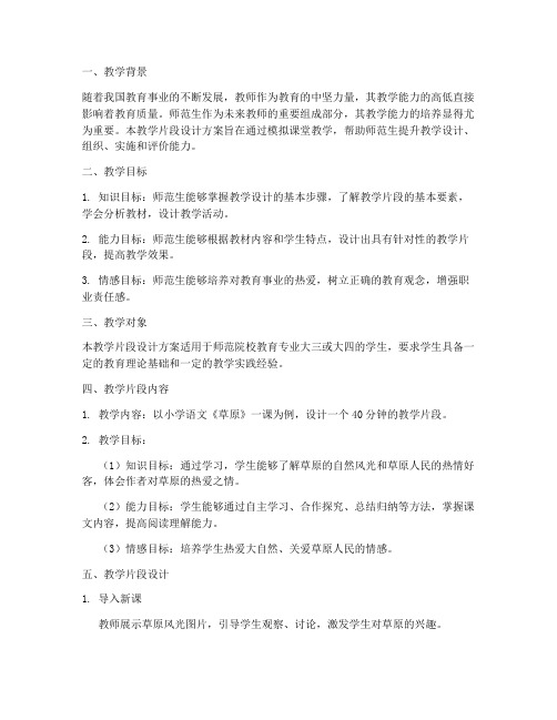 师范生教学片段设计方案