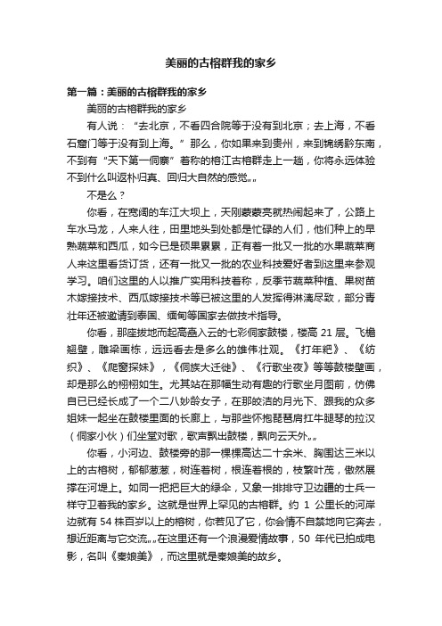 美丽的古榕群我的家乡