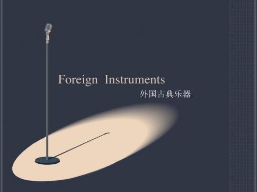 Foreign  Instruments(西洋乐器)