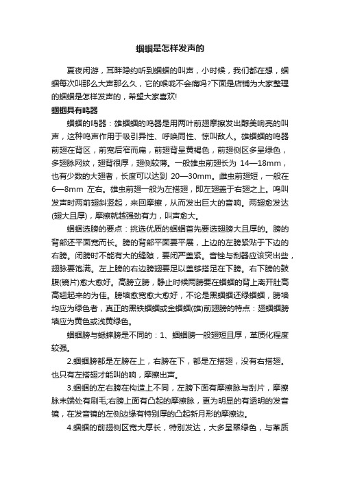 蝈蝈是怎样发声的