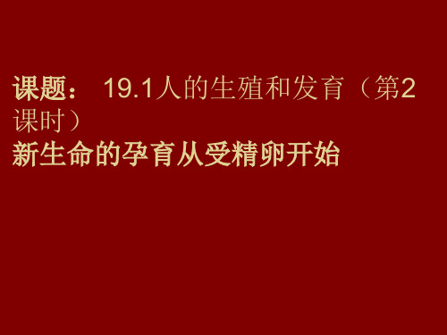 北师大版初中生物八年级上册第六单元 生命的延续第19章 生物的生殖和发育第1节 人的生殖和发育 课件