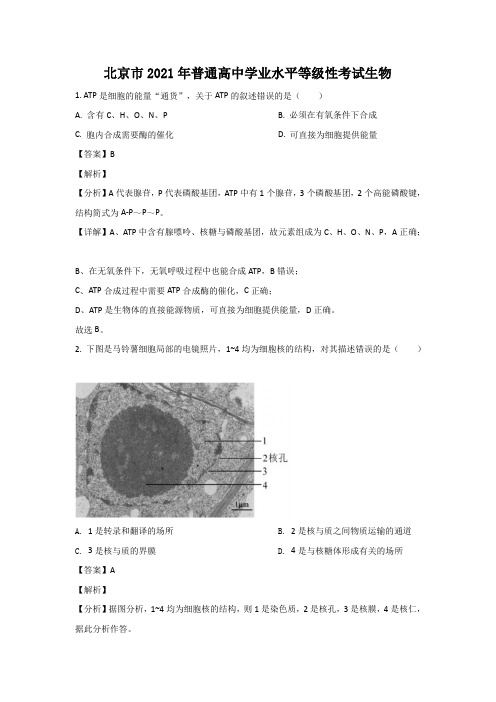 2021年北京市普通高中学业水平等级性考试生物(带答案)