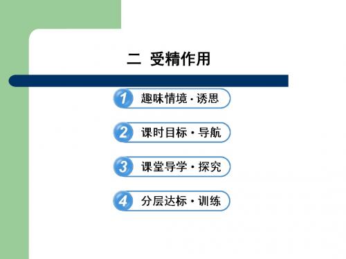 导学讲练通 2013高一生物精品课件：2.1.2