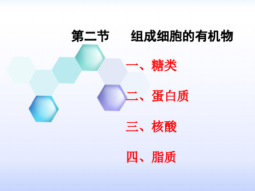 组成细胞的有机物(糖类)