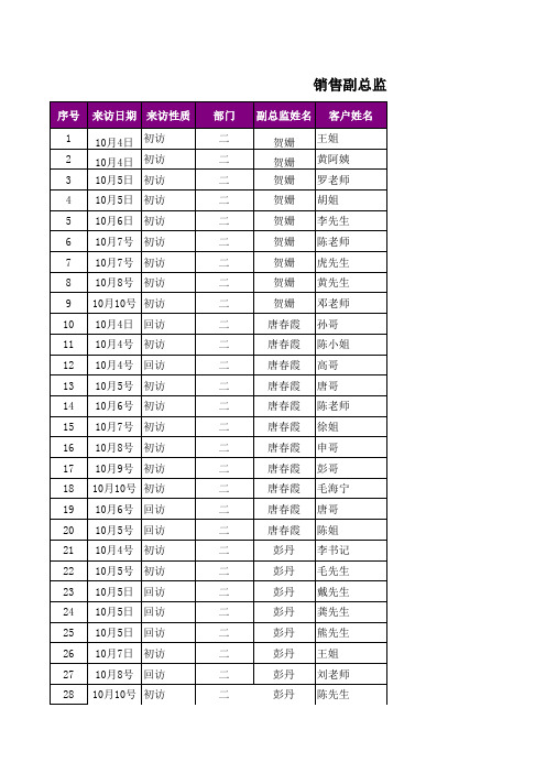 10.4-10.10销售副总监洽谈明细表