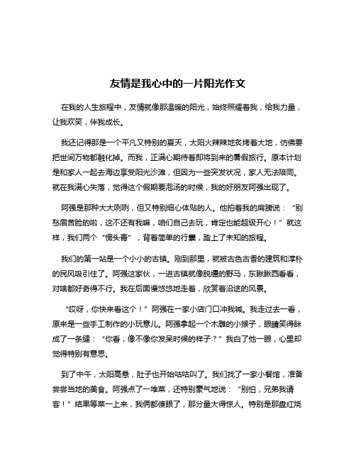 友情是我心中的一片阳光作文