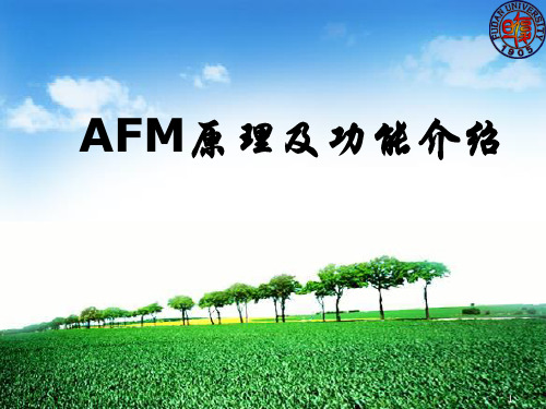 AFM原理及功能介绍