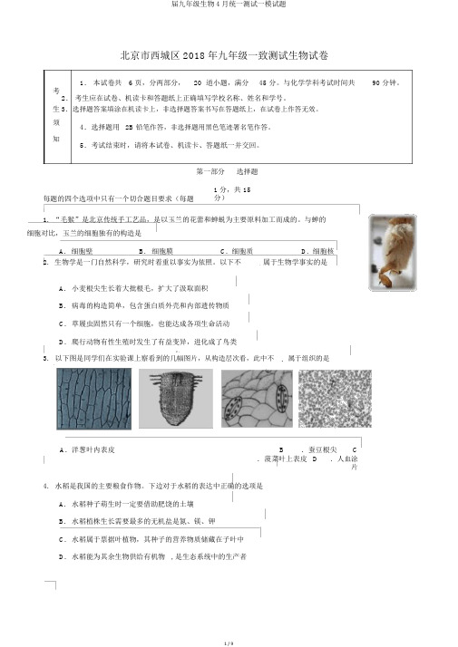 届九年级生物4月统一测试一模试题