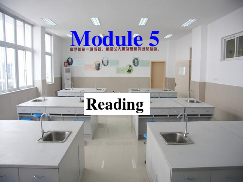 外研版英语必修一 Module 5Reading and vocabulary 课件 (1)