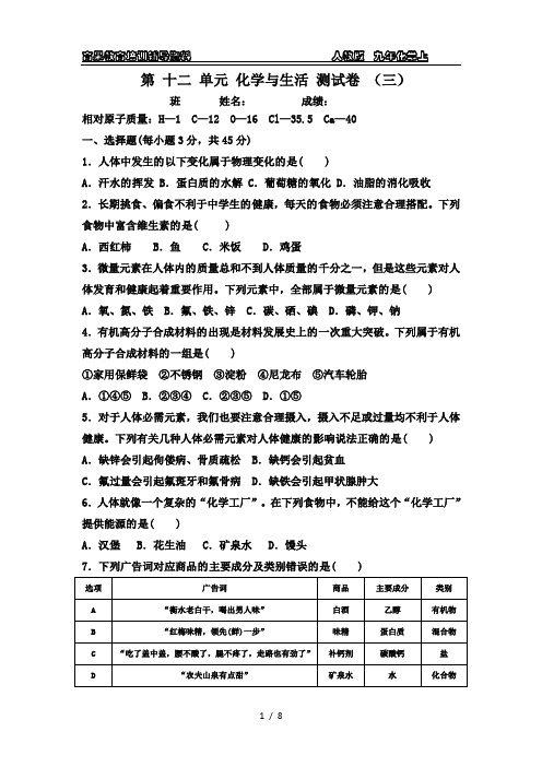 九年化学下第十二单元化学与生活测试卷  (三)附答案与解析