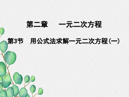 《用公式法求解一元二次方程》PPT课件 (公开课)2022年北师大版 (4)