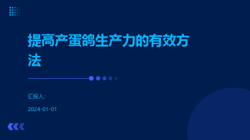 提高产蛋鸽生产力的有效方法