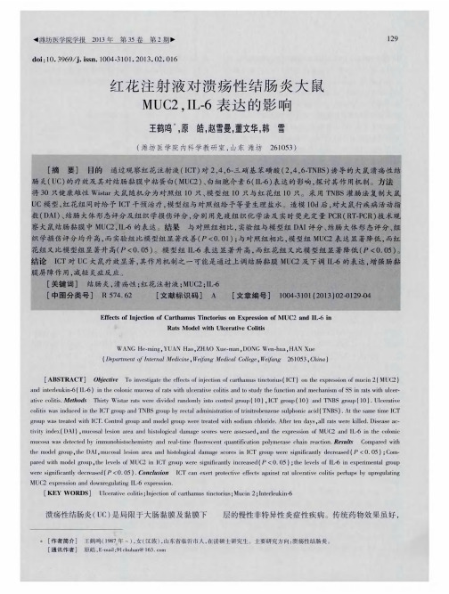红花注射液对溃疡性结肠炎大鼠MUC2,IL-6表达的影响