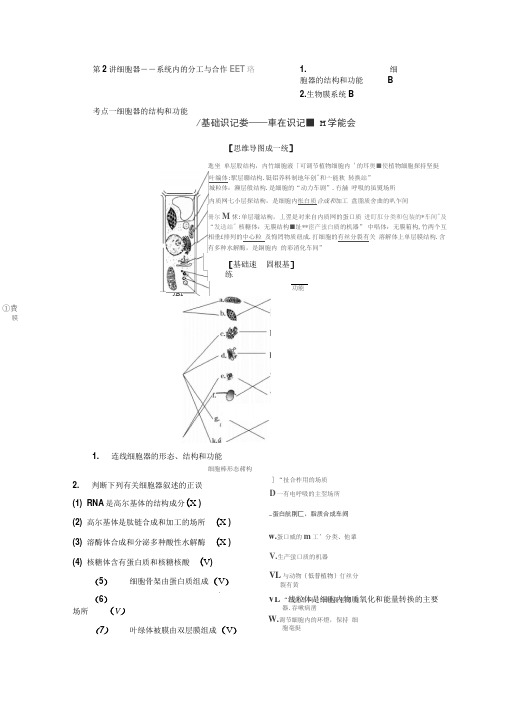 2020年高考生物人教版一轮复习细胞器——系统内的分工与合作