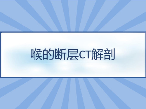 喉的断层CT解剖 PPT