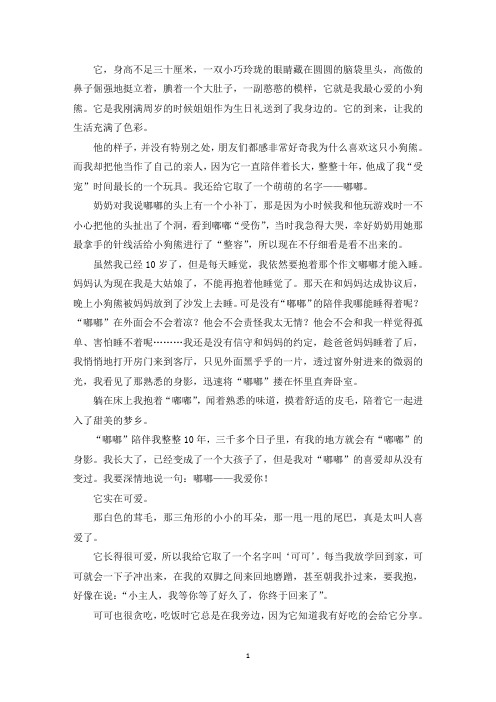 精选优秀作文我心爱的小狗熊