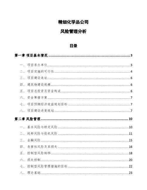 精细化学品公司风险管理分析