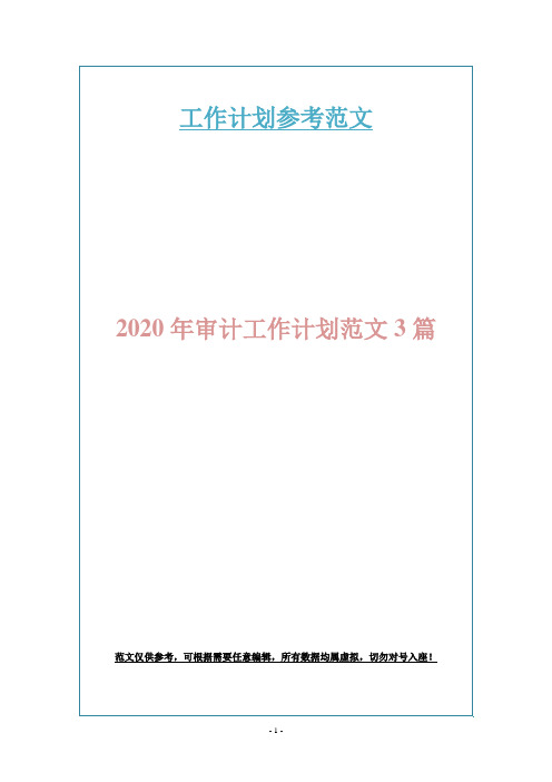 2020年审计工作计划范文3篇