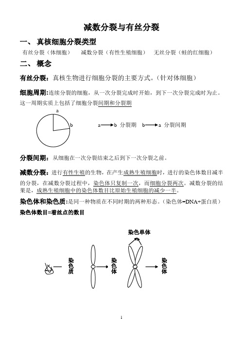 减数分裂与有丝分裂讲义以及习题