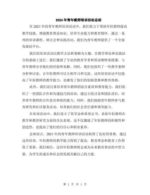 2024年青年教师培训活动总结