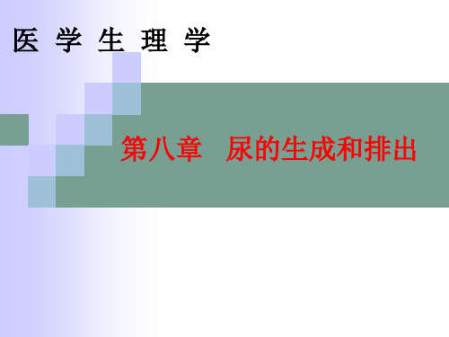 大学精品课件：第八章   尿的生成和排出