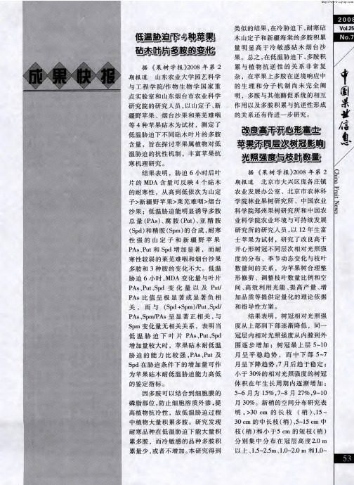 改良高干开心形富士苹果不同层次树冠影响光照强度与枝叶数量