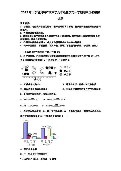 2023年山东省潍坊广文中学九年级化学第一学期期中统考模拟试题含解析