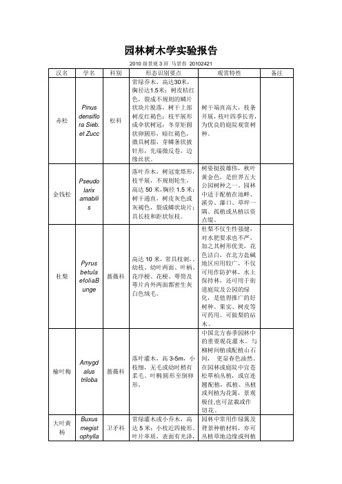 园林树木实验报告