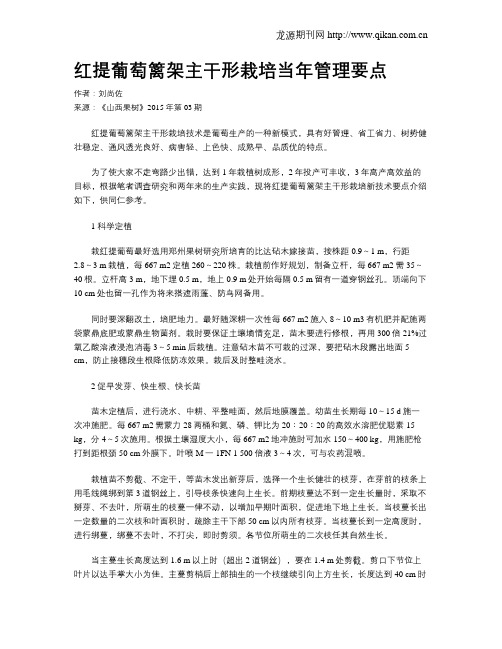 红提葡萄篱架主干形栽培当年管理要点